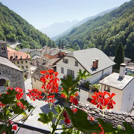 Edelweiss
